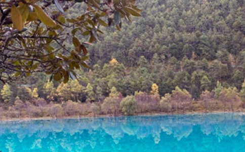 ��д��������