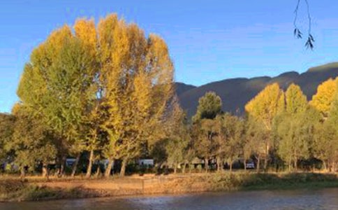 ����ý�帰���Ϲ�ְ�ɲ����������������졢�������챨��