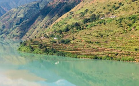 �����ų����ľ�ѡ15ƪ