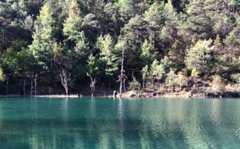 ����֮������