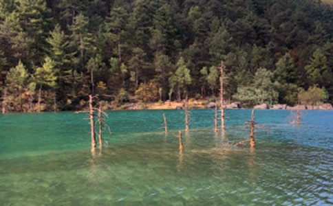 ����Ʒ�������ų���������6ƪ