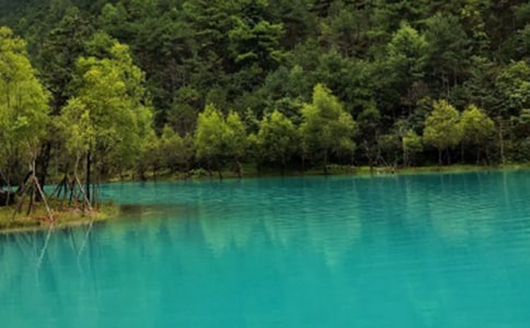 �����ų��μ�����