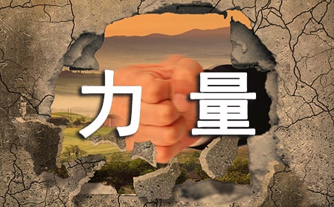 �����Ž���������������꼶