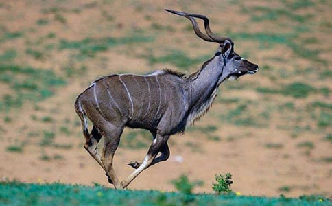 ������ĺ�������