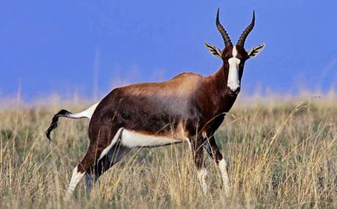 ����ľ����д����