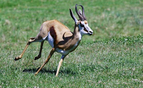 ����ľ���ѧ���