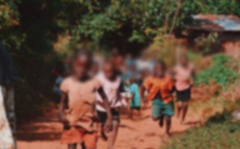 ���ض�ͯ�ذ������ܽ�