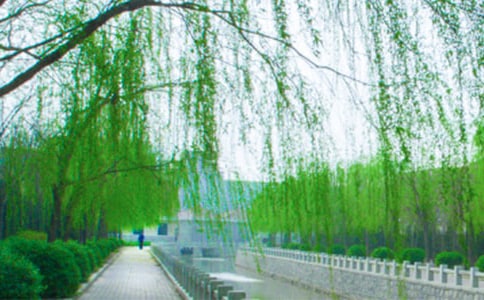 15��С������С������ ֮��