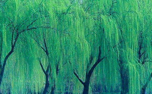 15��С������С������