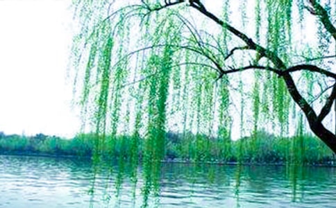 �����������ġ����š�