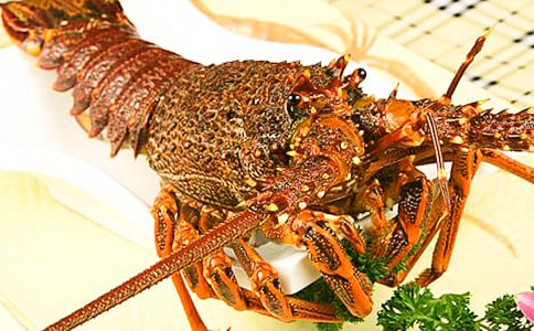 ����Ϻ����