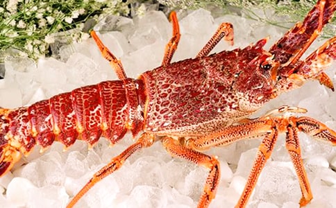 ����Ϻ����9ƪ