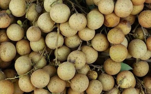 �Ұ��������������