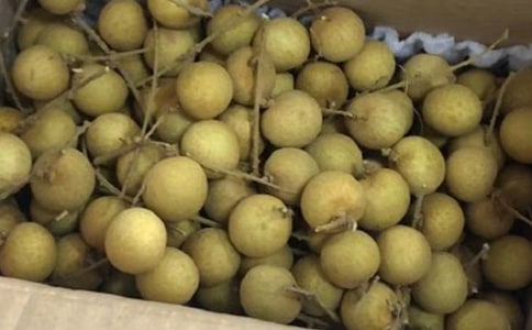 ��д����������������