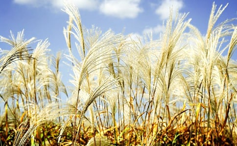 «έ������