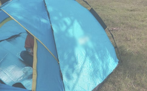 ¶Ӫ��������5ƪ