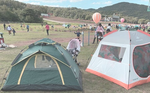 ¶Ӫ���Ļ��6ƪ