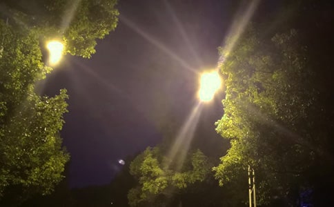 ���š�·����������