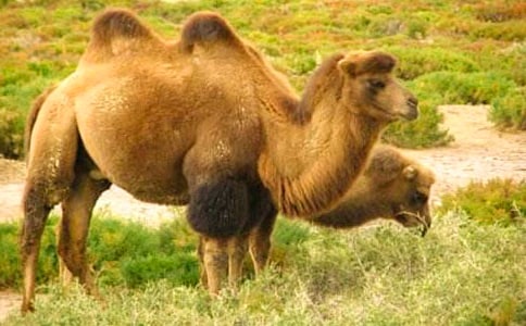 ���꼶�����պ���