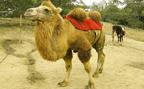 6�������ա� ֮��