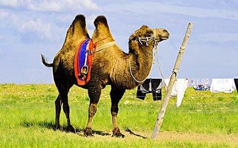 �����պ��� ֮��