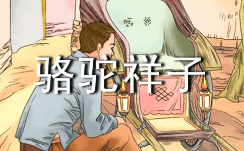 �������Ӿ�����¼