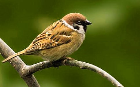 ��д��ȸ����������6ƪ