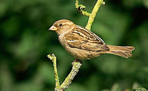 ��д��ȸ����������