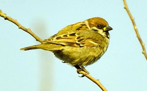 �й���ȸ������