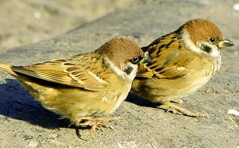 ����ȸ����ѧ��Ƽ�����