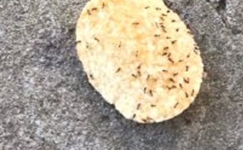 �а�����С���Ͻ̰�12ƪ