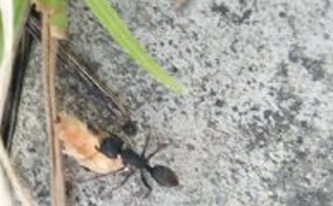 ��������̰���Ư��������С�㡷