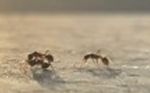 д�۲������ռ�