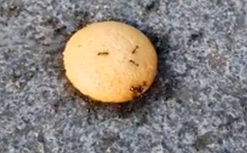 ���ϱ�������