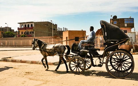 ��ʱ����С��������ѧ���