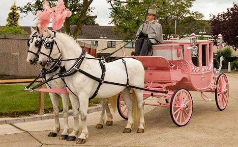 �̰�����ɫ��������������