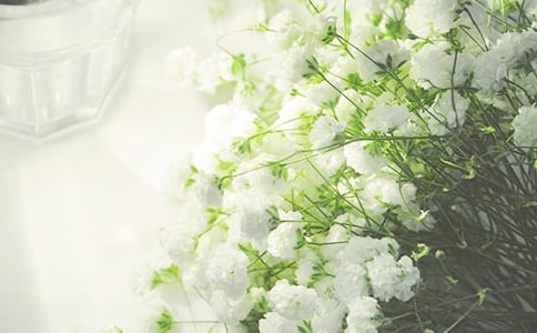 ����������(ͨ��15ƪ)