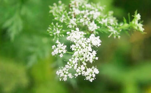 ���������ǹ�����10ƪ��ͨ�ã�