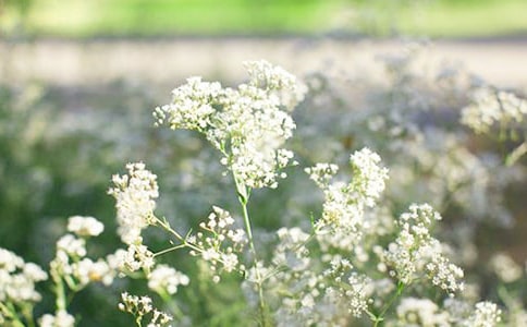 ��д�����ǵľ���