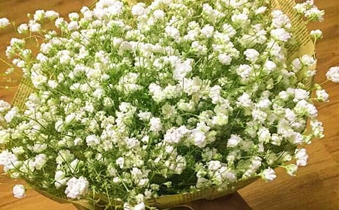 ���������ǹ�����13ƪ[����]