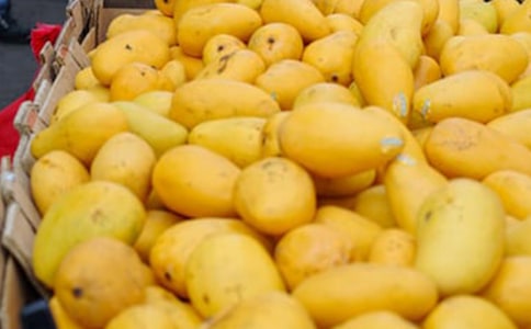 ��ϲ��â�����ģ�����