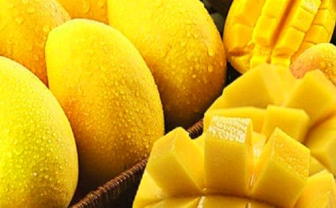 ���ȣ�â��������