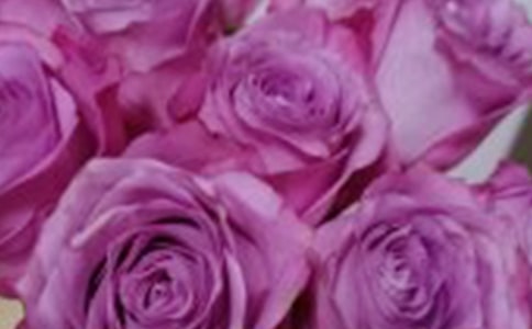 ����õ�廨�ľ���15��