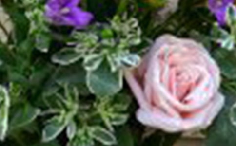 �й�õ�����Ľ�����ƪ