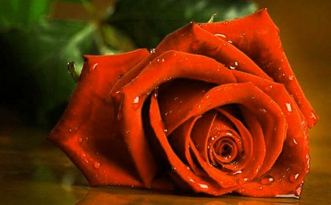 ������԰�質��õ������