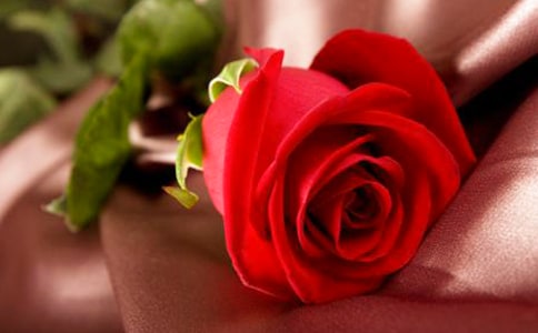 õ�������ʵ��[15ƪ]