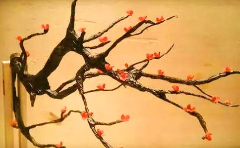 ÷������ʾ����