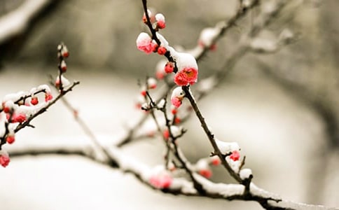 ÷��Ψ��ʫ�����������Ӵ�ȫ60�侫ѡ