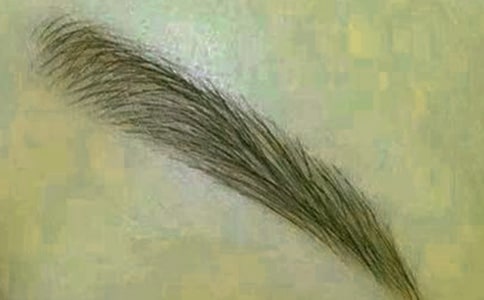 ��дüë�ľ���