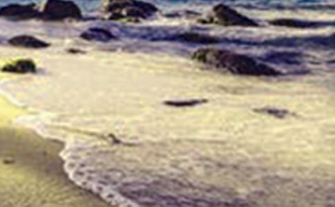 ���������Ϊ���������